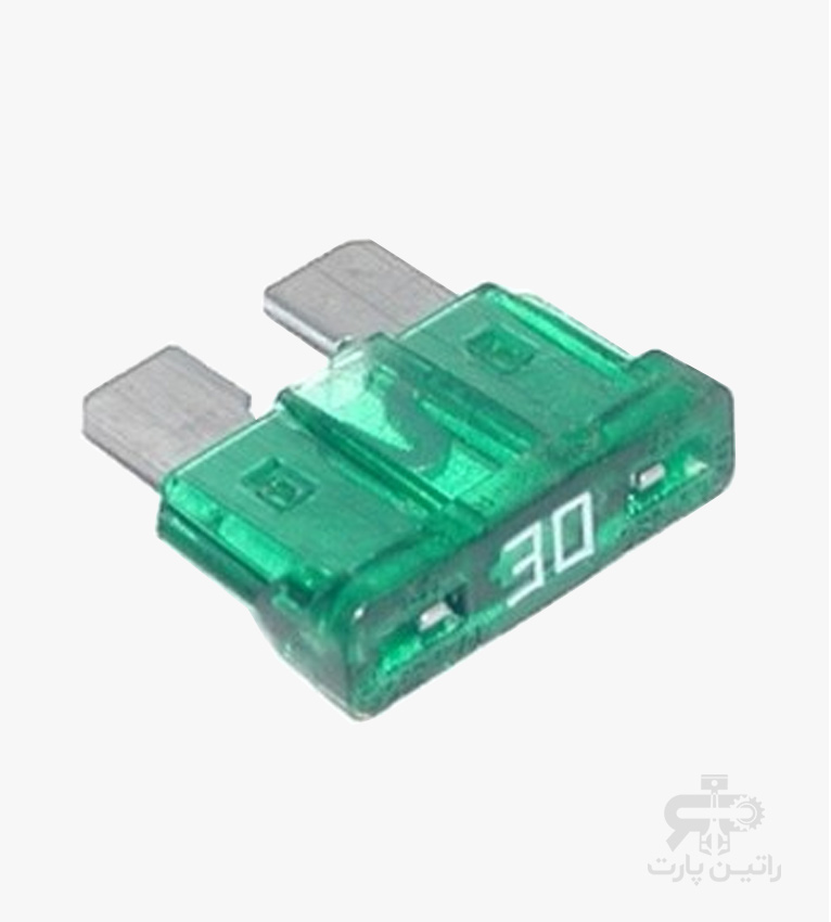 فيوز دو شاخه 30 NBM