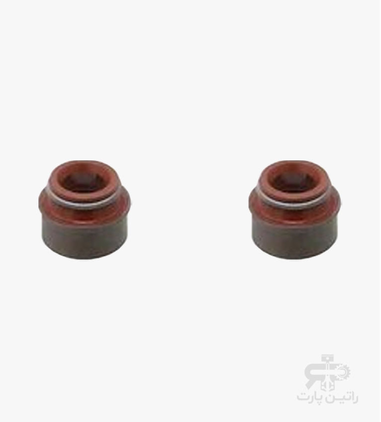 کاسه نمد ساق سوپاپ پژو 206 تیپ 2 و روآ ویژن